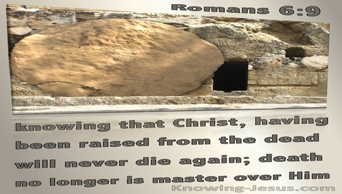 Romans 6:9 Christ Raised From The Dead (brown)